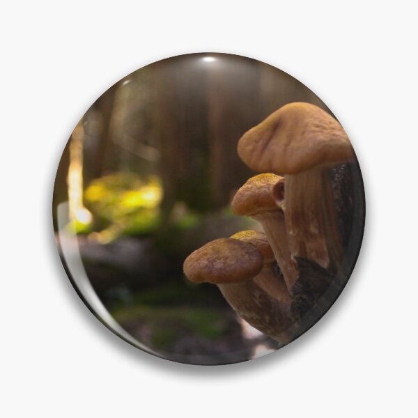 Item preview, V0010 Mushrooms designed and sold by photographyemd.