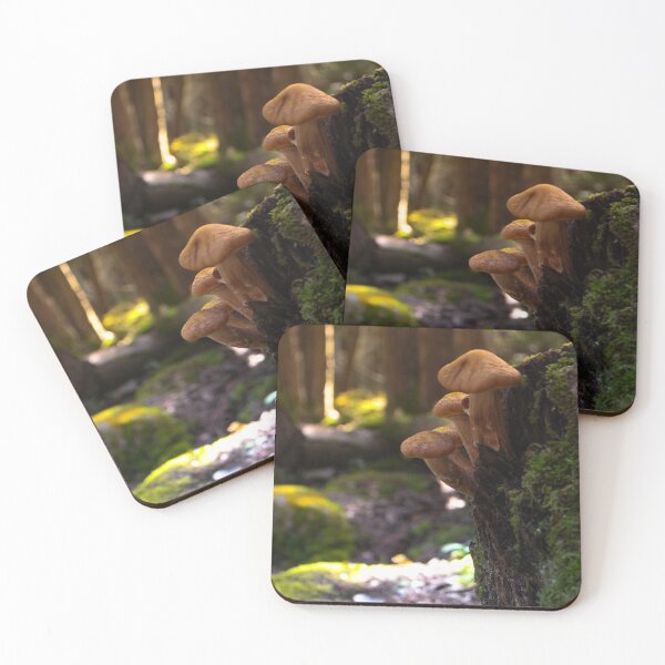 Item preview, V0010 Mushrooms designed and sold by photographyemd.