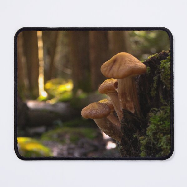 Item preview, V0010 Mushrooms designed and sold by photographyemd.