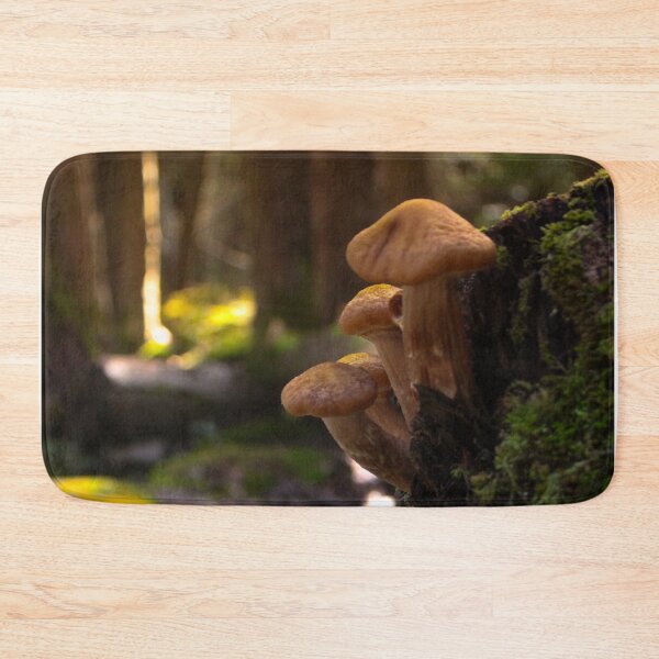 Item preview, V0010 Mushrooms designed and sold by photographyemd.