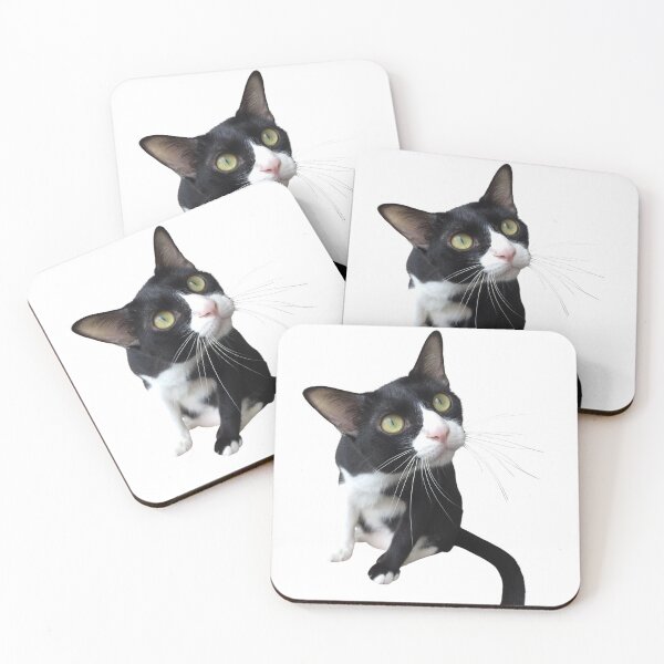 Item preview, watching black and white cat, watching lizard designed and sold by Benchamart.