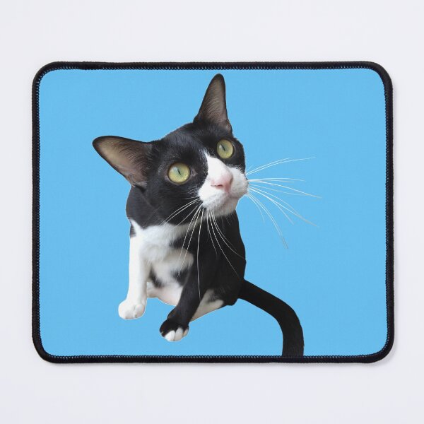 Item preview, watching black and white cat, watching lizard designed and sold by Benchamart.
