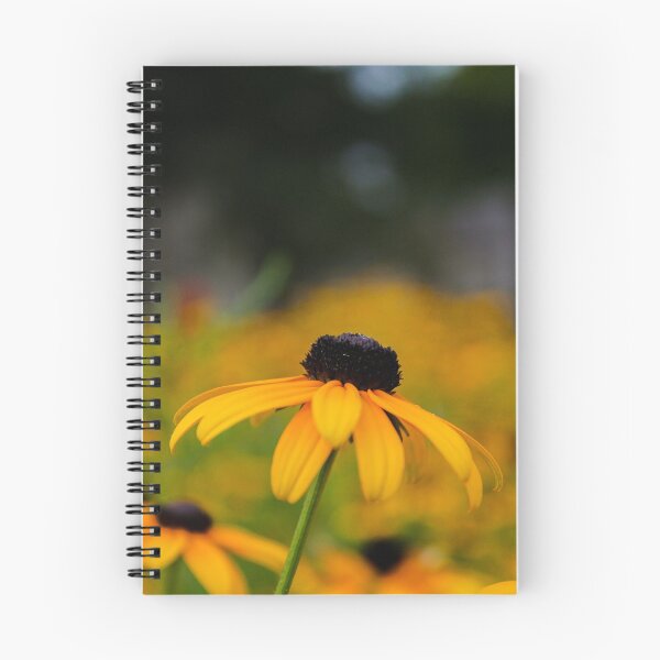 Item preview, V0011 Black Eyed Susan designed and sold by photographyemd.