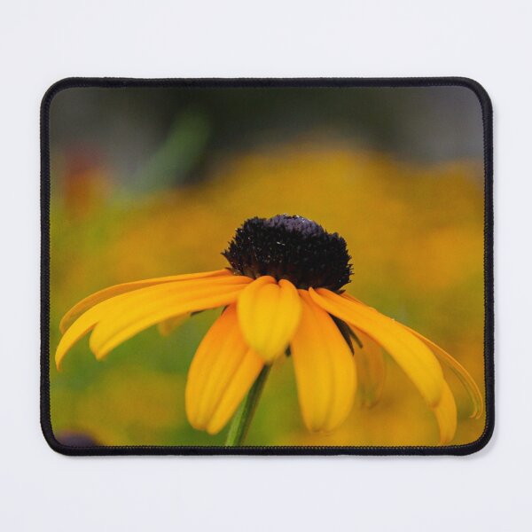 Item preview, V0011 Black Eyed Susan designed and sold by photographyemd.