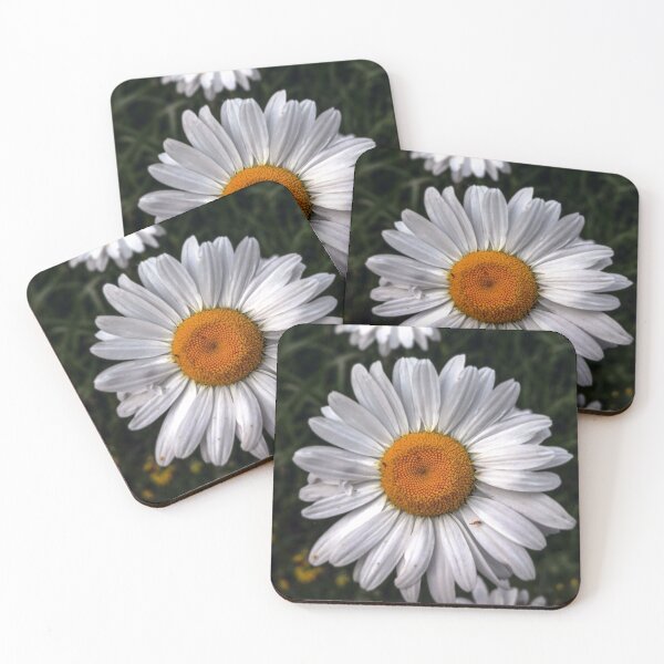 Item preview, V0012 Daisies designed and sold by photographyemd.