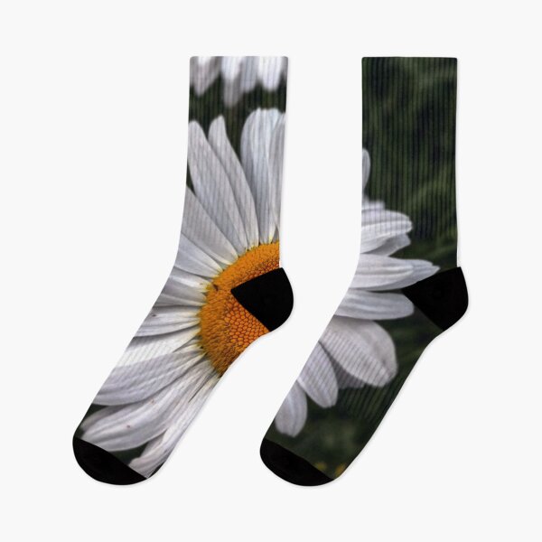 Item preview, V0012 Daisies designed and sold by photographyemd.