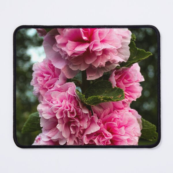 Item preview, V0013 Hollyhock designed and sold by photographyemd.