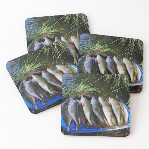 Item preview, freshly caught perch close-up designed and sold by mrivserg.