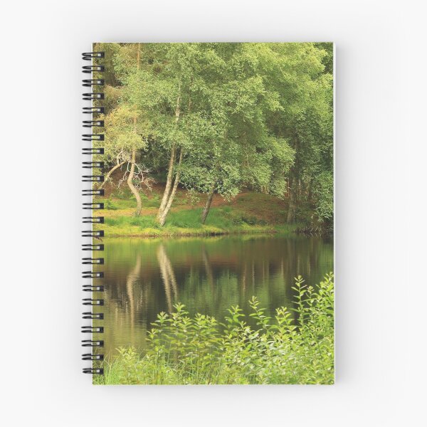 Item preview, Reflexiones designed and sold by Viv Andrew.