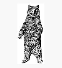 Ornate Grizzly Bear Photographic Print