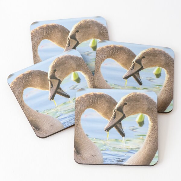 Item preview, Together Cygnets designed and sold by Owed To Nature.