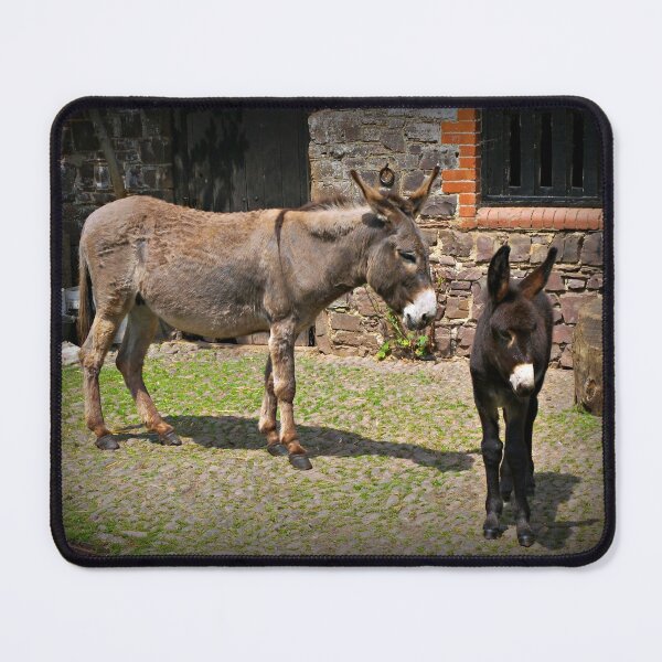Item preview, Clovelly Donkeys designed and sold by ColinBoylett.
