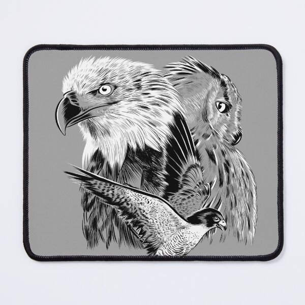Item preview, Eagle hawk and owl designed and sold by albertocubatas.