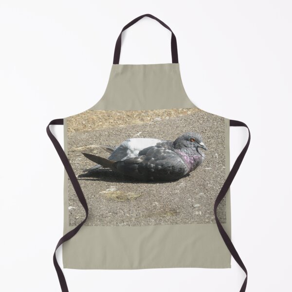 Item preview, Relaxed London Pigeon on a Path Photograph designed and sold by naturegallery.