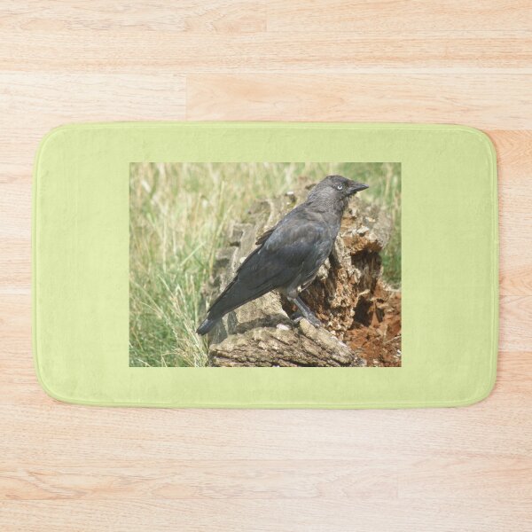 Item preview, Western Jackdaw on a Tree Stump Photograph designed and sold by naturegallery.