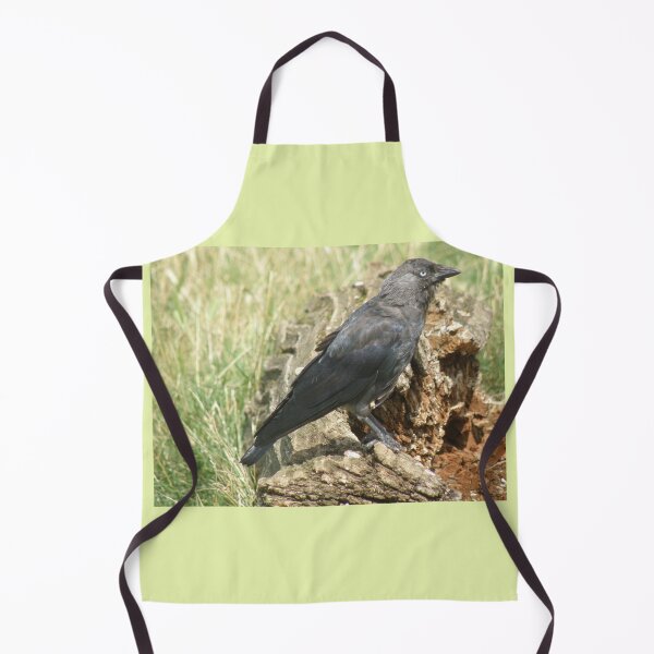 Item preview, Western Jackdaw on a Tree Stump Photograph designed and sold by naturegallery.