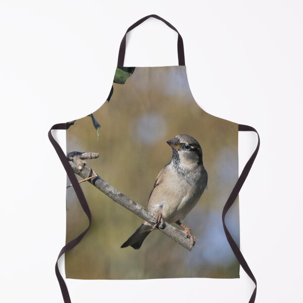 Item preview, r1019 / New Finition 2021 -- Moineau des Villages de Campagne - (c)(t) Olavia-Olao Okaio Créations designed and sold by o.okaïo.