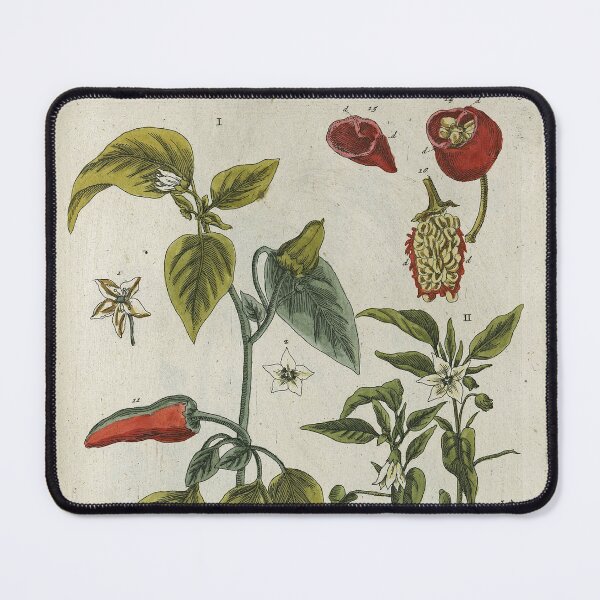 Item preview, Spanish Peppers or Piper indicum by Elizabeth Blackwell designed and sold by Lloyd Library & Museum.