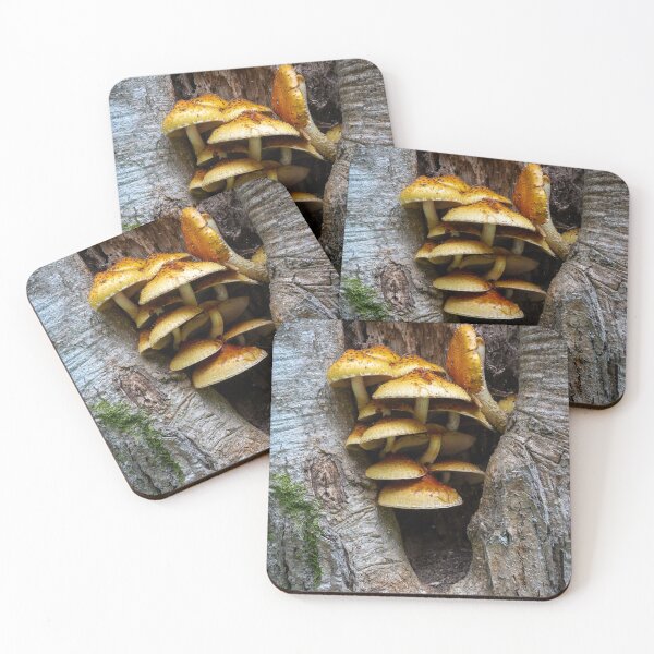 Item preview, Shaggy Scalycap, Pholiota squarrosa designed and sold by Leighton Collins.