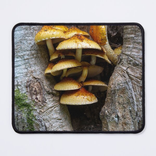 Item preview, Shaggy Scalycap, Pholiota squarrosa designed and sold by Leighton Collins.