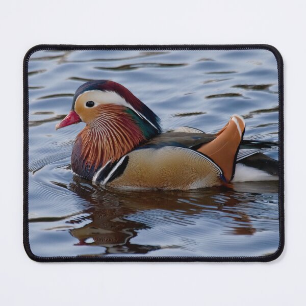 Item preview, Mandarin duck on the River Wansbeck designed and sold by Violaman.