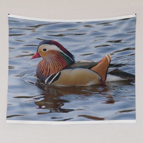 Item preview, Mandarin duck on the River Wansbeck designed and sold by Violaman.