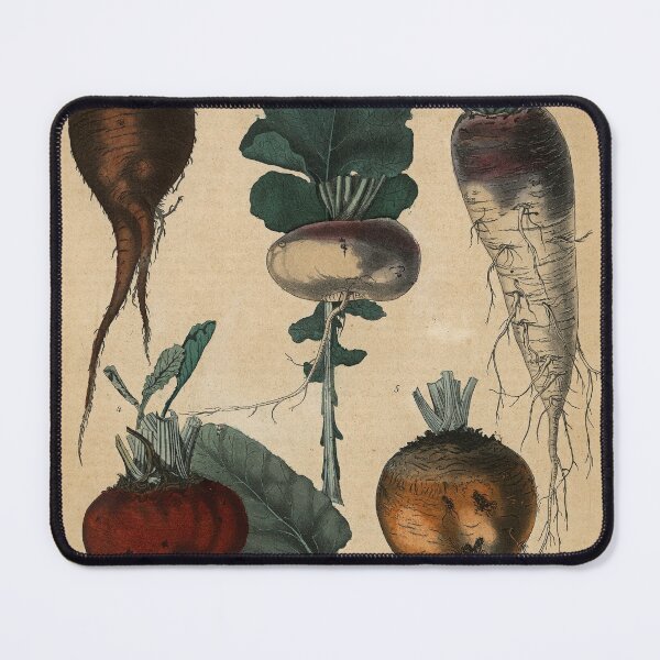 Item preview, Root Vegetables Print designed and sold by Lloyd Library & Museum.