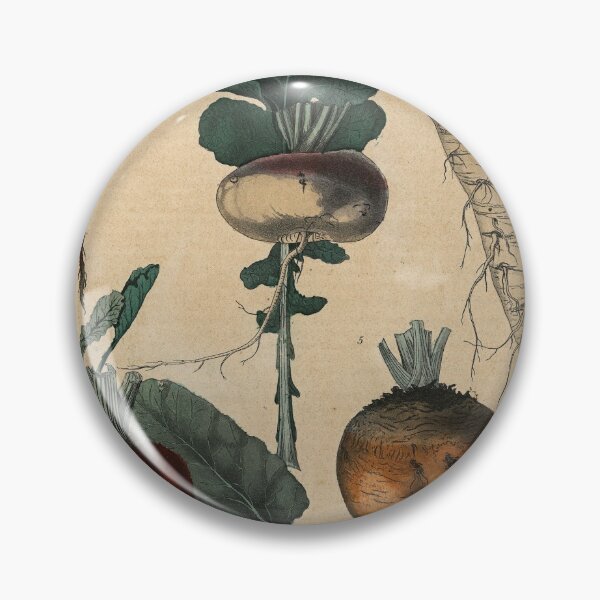 Item preview, Root Vegetables Print designed and sold by Lloyd Library & Museum.