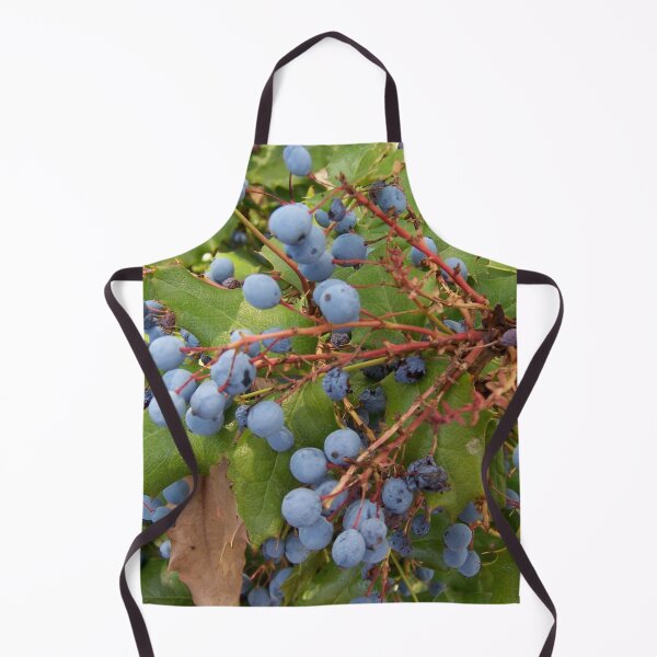 Aperçu de l'œuvre les raisins créée et vendue par Christian Fasy.