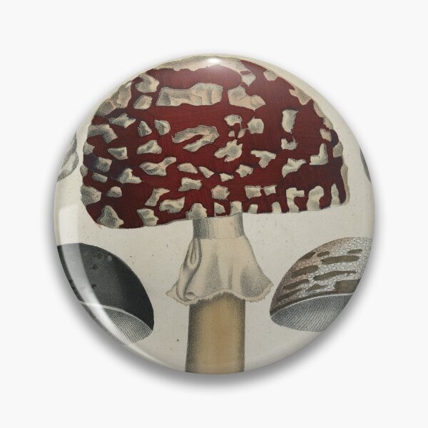Item preview, Mushrooms from Berge's Giftpflanzenbuch designed and sold by Lloyd Library & Museum.