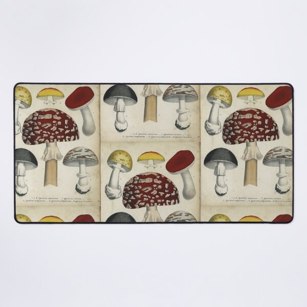 Item preview, Mushrooms from Berge's Giftpflanzenbuch designed and sold by Lloyd Library & Museum.