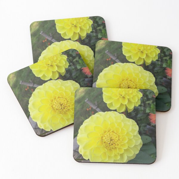 Item preview, Dahlias designed and sold by jdphotos.