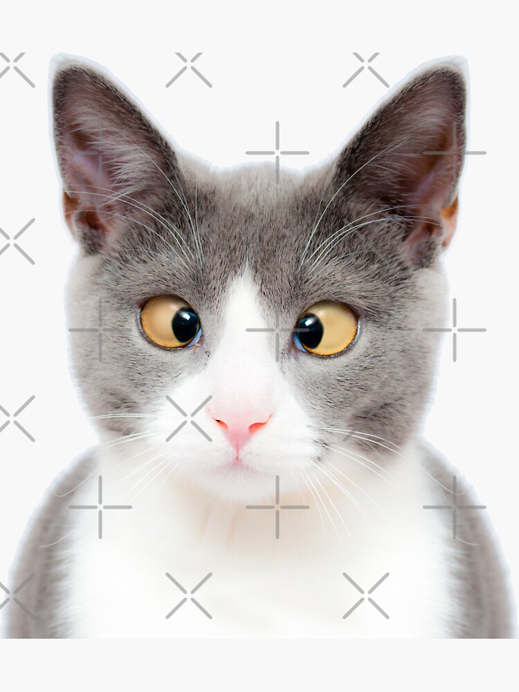 Sticker for Sale mit Katzenaugen von loganferret