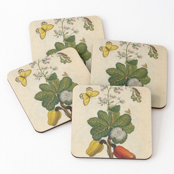 Item preview, Cashew tree. amber phantom butterfly and tussock moth designed and sold by Lloyd Library & Museum.