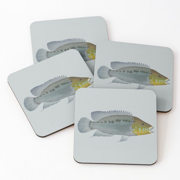 Artikelvorschau, Türkis Cichlid entworfen und verkauft von fishfolkart.