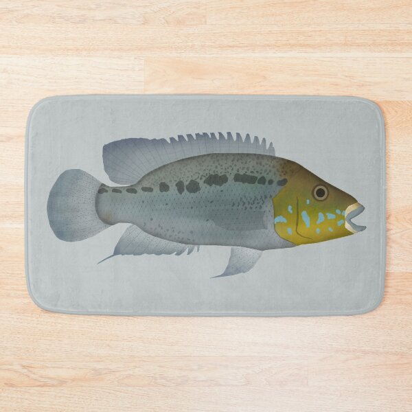 Artikelvorschau, Türkis Cichlid entworfen und verkauft von fishfolkart.