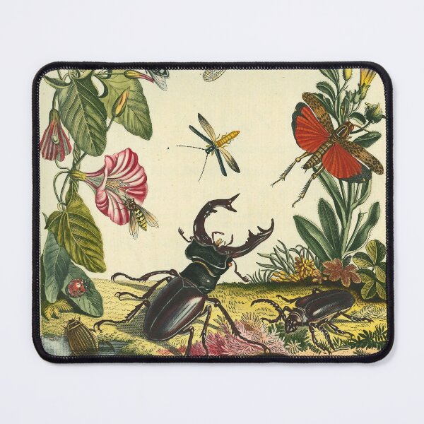 Item preview, Insect Scene designed and sold by Lloyd Library & Museum.