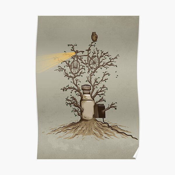 Natural Light Poster