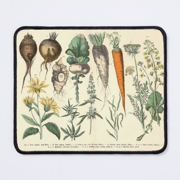 Item preview, Vegetable Print designed and sold by Lloyd Library & Museum.