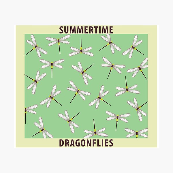 Summertime dragonflies pattern poster with colors Photographic Print