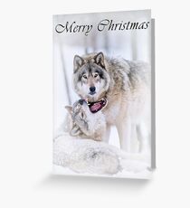 Timber Wolf Christmas Card - English - 16 Greeting Card