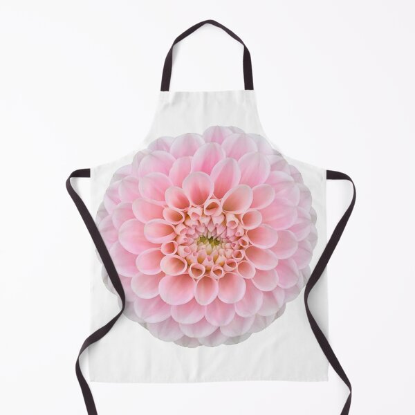 Item preview, Pink Dahlia Flower Still Life Floral Photography designed and sold by CottoVerdi.
