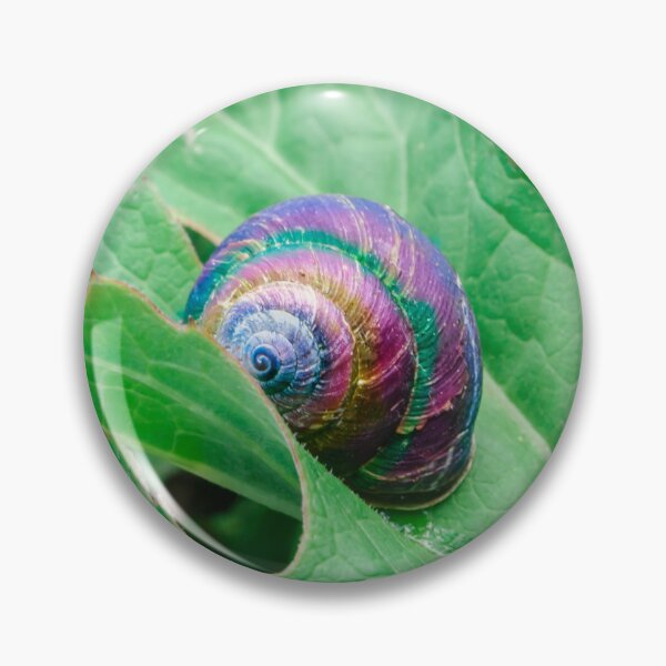 Item preview, Rainbow Snail  designed and sold by Lostlogo.