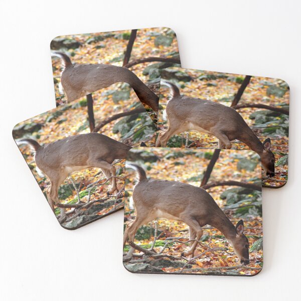 Item preview, Autumn Whitetail  designed and sold by Jokertoker.