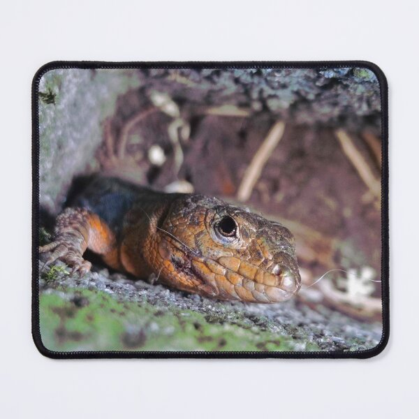 Item preview, natural landscape with lizard designed and sold by malliara.