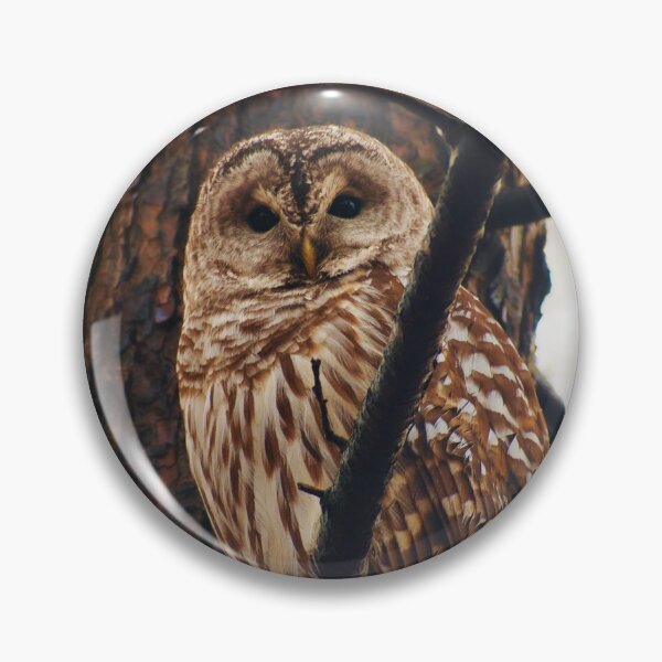 Item preview, Hoo's There? (Expanded) designed and sold by AlohaPixels.
