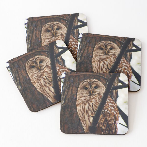 Item preview, Hoo's There? (Expanded) designed and sold by AlohaPixels.