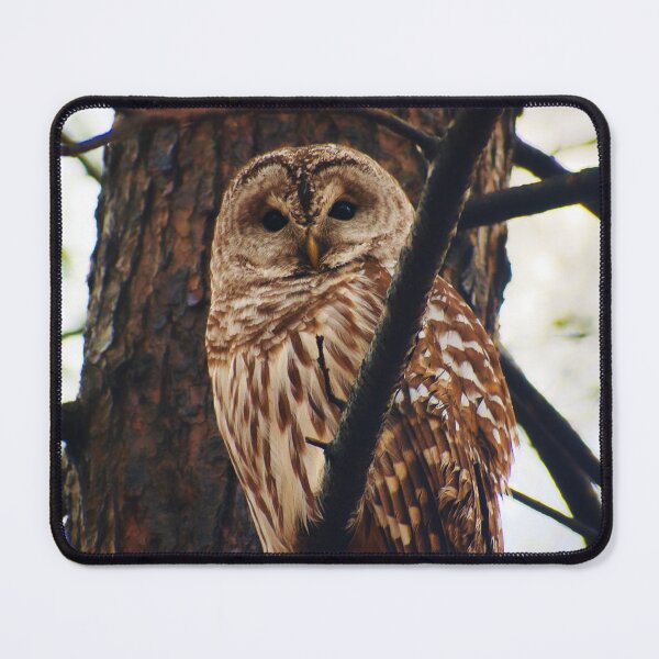 Item preview, Hoo's There? (Expanded) designed and sold by AlohaPixels.