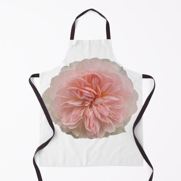 Item preview, Blush Peach Rose Flower Still Life Floral Photography designed and sold by CottoVerdi.