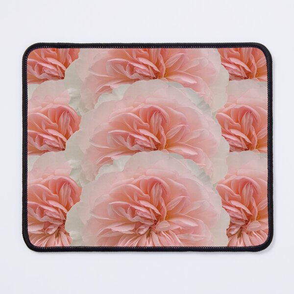 Item preview, Blush Peach Rose Flower Still Life Floral Photography designed and sold by CottoVerdi.